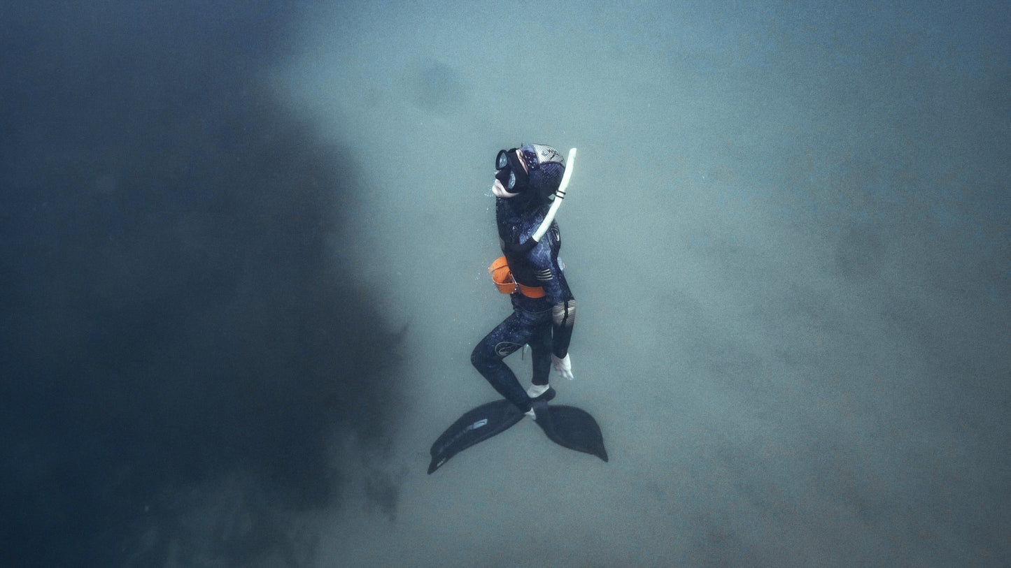 Molchanovs Beginner Freediving Theory 1