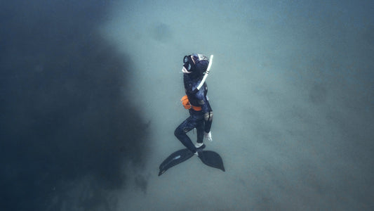 Molchanovs Beginner Freediving Theory 1