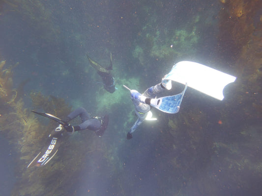 Molchanovs Advanced Freediver Theory (Theory Only)